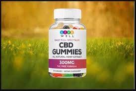 accommodation in sydney cbd gummies