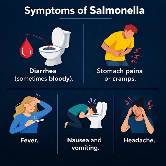 Salmonella Infection: Symptoms, Causes, Treatment & Prevention