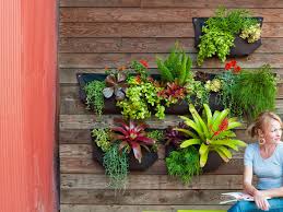 The vertical garden is an impossible to resist diy project, allowing you to add the beauty of new growth to virtually any space. Sunset Magazine S Favorite Diy Garden Projects Sunset