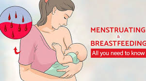 Breast screening aims to find breast cancers early. Can Your Period Start And Stop While Breastfeeding Parent S Rights