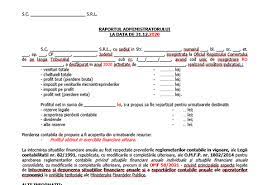 Raport Administrator Pentru BilanÈ› SituaÈ›ii Financiare La 31 12 2019 Model 2020 Orientativ Editabil Gratuit Cabinetexpert Ro Blog Contabilitate