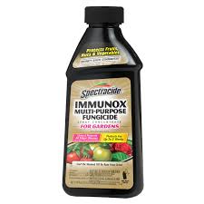 Double take scarlet flowering quince home depot. Spectracide Immunox Fungicide Spray Concentrate For Gardens 16 Oz Walmart Com Walmart Com