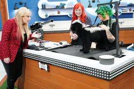 Maybe you would like to learn more about one of these? Cast Of Abc S Pooch Perfect Describe Connections Between Humans And Their Pets In New Video Laughingplace Com