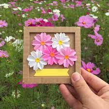 Do Your Remember That You Favourited The Cosmos Flower Origami Cards They Are In My Etsy Shop Until 24th June Flower Cards Origami Cards Origami Flowers