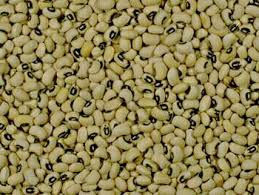 Image result for Vigna unguiculata