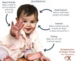 Tongue Thrust And Starting Solids Solid Starts