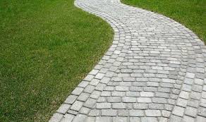We did not find results for: Best Grasses To Plant Between Pavers All Green