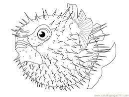 Cute kitten in a mug tabby kitten kitten and fish kitten and ladybugs kitten in a scarf New Fishes Coloring Page For Kids Free Pufferfish Printable Coloring Pages Online For Kids Coloringpages101 Com Coloring Pages For Kids