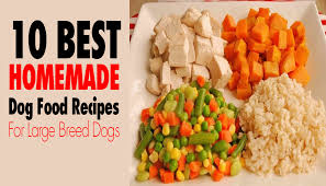 10 best homemade dog food recipes for
