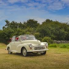 Image result for Rose Taupe 1961 Morris