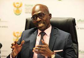 The estranged wife of malusi gigaba has described him as paranoid and addicted to porn. Malusi Gigaba Killed My Twins Zalebs