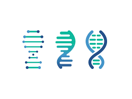 Dna Strands Dna Design Dna Logo Planner Logo Design