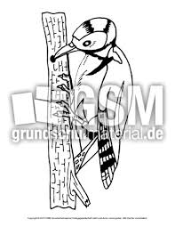 Dann ist diese eule sicher sehr gut geeignet. Ausmalbild Specht Vogel Tiere Zum Ausmalen Ausmalbilder Bildende Kunst Material Klasse 1 Grundschulmaterial De