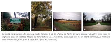 Maybe you would like to learn more about one of these? Quand La Foret S Impose Comme Une Evidence Paysagere Pour L Habitant