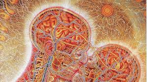 Hd Wallpaper Human Anatomy Illustration Kissing Brain Pattern No People Wallpaper Flare
