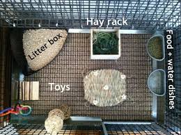 Just follow these simple steps, and you can set up your rabbit cage with ease. Before Even Bringing Home Your Rabbit You Should Set Up His Cage See Links Below For Housing Info Inside The Cage Pet Bunny Rabbits Bunny Cages Rabbit Cage