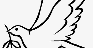 Gambar sketsa burung merpati gambar sketsa burung merpati terbang sketsa gambar sepasang burung merpati. 25 Inspirasi Keren Gambar Sketsa Burung Terbang Di Langit Tea And Lead