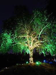 Pin On Garden Lighting