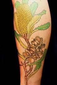 Australian Native Plant Botanical Tattoos Botanical Tattoo Nature Tattoos Native Tattoos