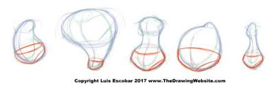 Training in drawing, modeling, game development for beginners to advanced professionals. Cartoon Body Formulas The Drawing Website