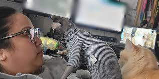 Boss in the house .. please rate ma work...