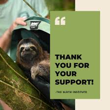 Thank you to everyone who chose to support our organization yesterday for  International Sloth Day! 🦥 We are so grateful for the donati... | Instagram