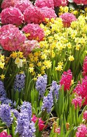 The work of the florist at a flower shop. By Kathleen Struckle Spring Garden Flowers Spring Flowers Beautiful Flowers