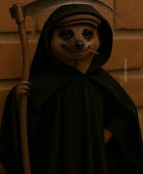 Why are novel chapters getting shorter?