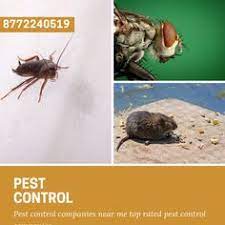 37 Pest Service Ideas Pests Pest Control Services Pest Control