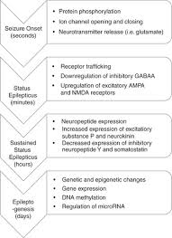 Image result for Status Epilepticus