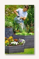 Image result for Rothmannia manganjae