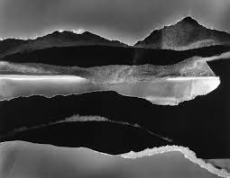 Image result for White 1990 Land O Lakes