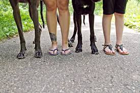 I have known and worked with dr. Lexington Pet Clinic Home Facebook