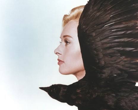 The Birds | The Guardian