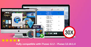 Mp4 files are comparatively small in size but still maintain video quality. Ukeysoft M4v Converter Compatible With 12 9 0 And Older