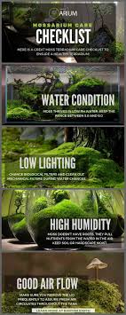 Mossarium Complete Care Guide How To Build Moss Terreriums Moss Terrarium Terrarium Plants Moss Garden