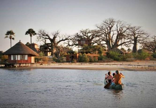 Les Collines de Niassam : Le guide complet pour une escapade réussie dans le Sine-Saloum