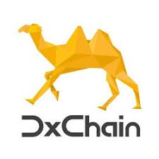 dxchain token dx price marketcap chart and fundamentals info coingecko