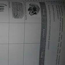 Tugas dan wewenang perangkat organisasi koperasi diatur oleh ad/art koperasi yang disesuaikan dengan idiologi koperasi. Hal 196 Aktivitas Kelompok Ips Tolong Jawabin Ya Ikhlas Lohhhh Wkwkw Brainly Co Id