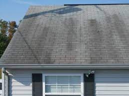 Check spelling or type a new query. How To Remove Moss And Algae From Your Roof Roof Maxx Roof Maxx