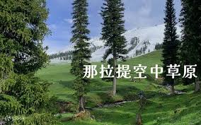 肆野北疆10日遊【賽里木湖+那拉提+庫爾德寧+獨庫公路等+贈送賽里 ...