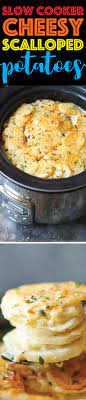 Combine 1 cup cheddar cheese, cream of chicken soup, 1 cup heavy cream, garlic powder, thyme and black pepper to taste. Slow Cooker Cheesy Scalloped Potatoes Recipe Damn Delicious