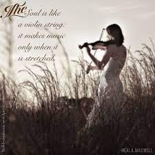 Pin By Ina Lang On I Like Violin Photography Photo Violin
