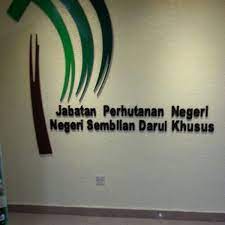 Jabatan perhutanan negeri sembilan, blok c, tingkat 4, kompleks setiausaha kerajaan, 70503 seremban, negeri sembilan. Photos At Jabatan Perhutanan Negeri Sembilan Wisma Negeri 19 Visitors