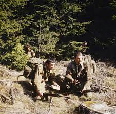 The special air service (sas) is famous around the world. 21 Sas Regiment Promotions