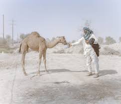 If they got caught, they understood you had a job to do but now it's our fault they sit in handcuffs rather than their own personal decisions. Q A Climate Change In Iran By Fast Emerging Photographer Hashem Shakeri 1854 Photography