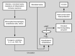 Image result for Postoperative Fever