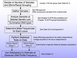 Forensics Exam 3 Flashcards Quizlet