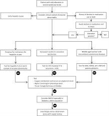 Liver function test normal range chart. Elevated Liver Enzymes In Asymptomatic Patients What Should I Do