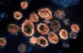 Maybe you would like to learn more about one of these? Cac Biáº¿n Thá»ƒ Virus Covid 19 Tiáº¿p Tá»¥c Phat Triá»ƒn NhÆ° Tháº¿ Nao